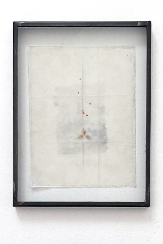 Gregorio Botta, Noli me tangere, 2019, carta di riso, cera, pigmenti, sangue, foglie, vetro e ferro, 42x30x4 cm