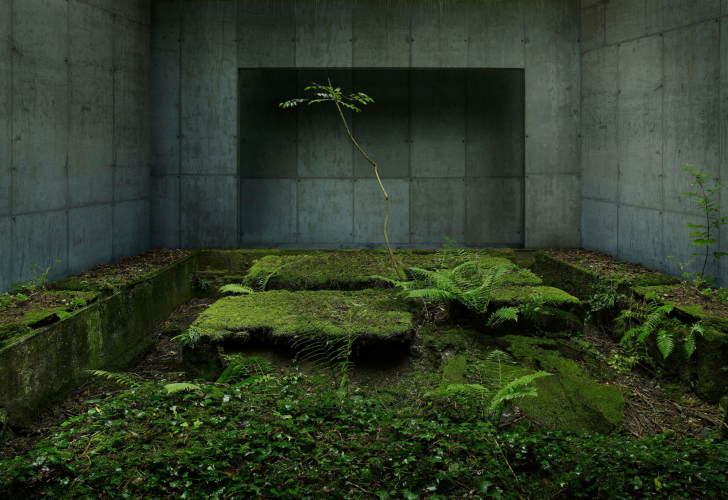 Gioberto Noro, Green Zone #1, 2007, archival pigment print on cotton rag paper, 82x120 cm