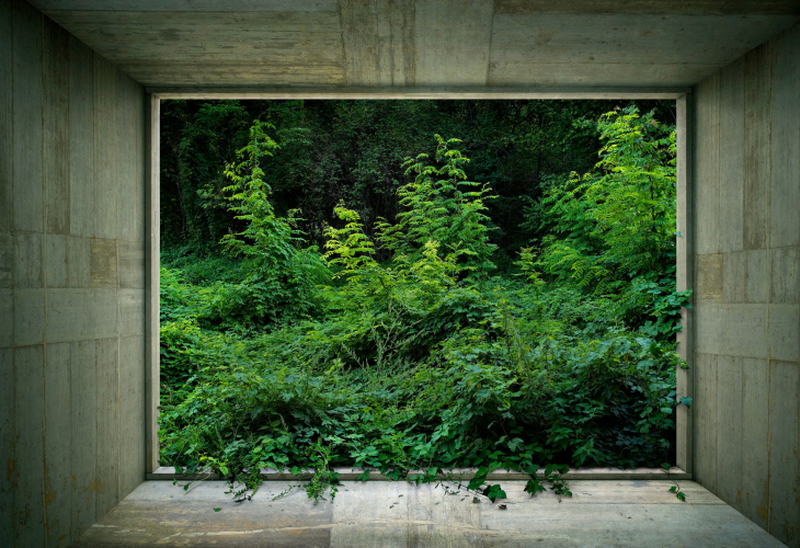 Gioberto Noro, Green Zone #1, 2007, archival pigment print on cotton rag paper, 82x120 cm