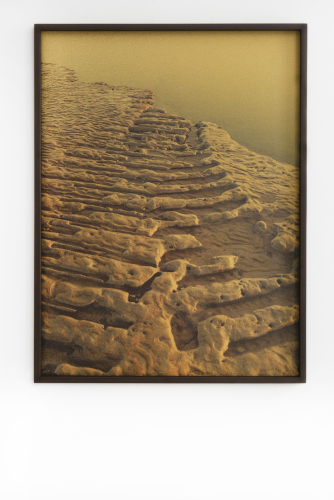 Laura Pugno, Prove d’identità 02, 2025, stampa fotografia su carta abrasiva, 80x60 cm, courtesy l'artista e la Galleria Simóndi