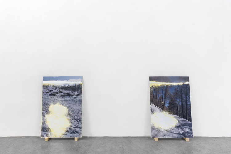 Laura Pugno, L'invisibilità dell'inverno, 2019, particolare della mostra