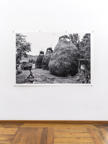 Lala Meredith-Vula, Select Haystacks (1989-ongoing), particolare della mostra