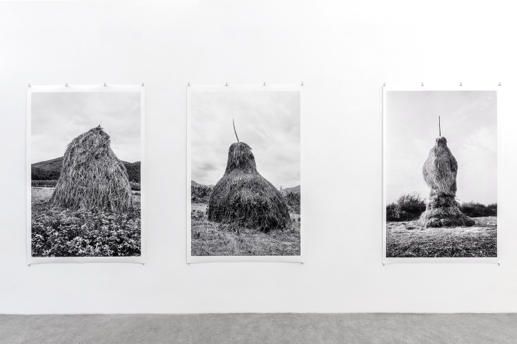 Lala Meredith-Vula, Select Haystacks (1989-ongoing), particolare della mostra