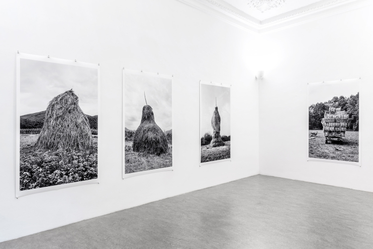 Lala Meredith-Vula, Select Haystacks (1989-ongoing), particolare della mostra