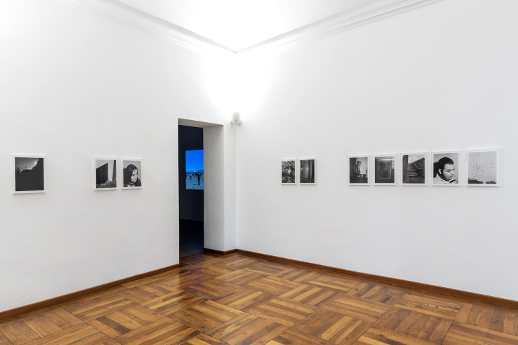 Hamzehian/Mortarotti, Most were silent, 2018, particolare della mostra