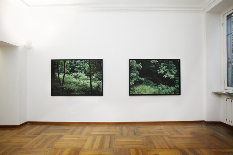 Gioberto Noro, Aperture, 2016-2017, particolare della mostra