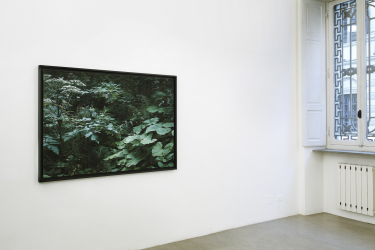 Gioberto Noro, Aperture, 2016-2017, particolare della mostra