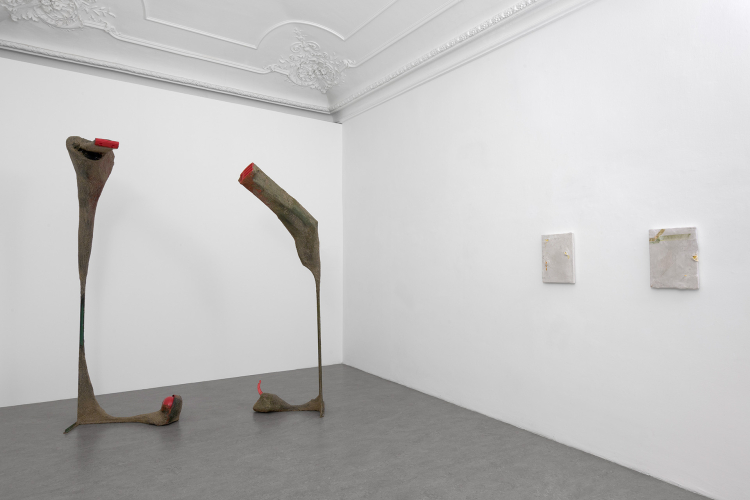 Francesca Ferreri, Cluster clutter, 2016, particolare della mostra