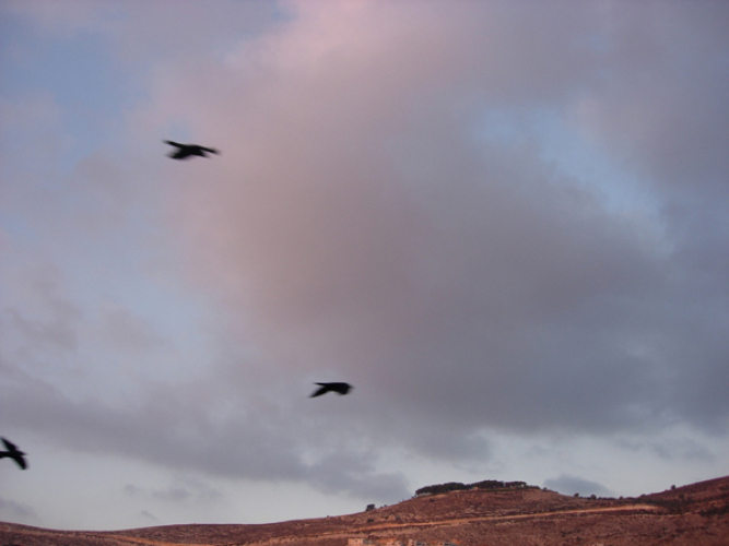Emily Jacir, Nablus Eid, 2006 C-type print, 57x76 cm, ed. 7