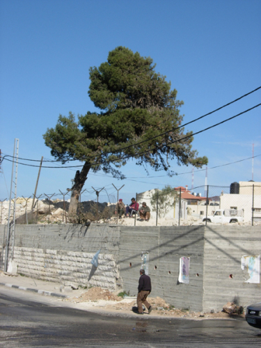 Emily Jacir, outside the muqata, 2006, C-type print, 76x57 cm, ed. 7