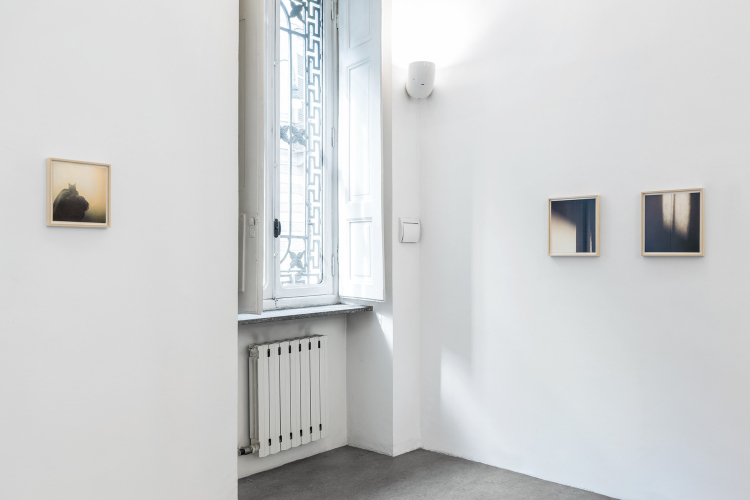 Eva Frapiccini, Forget/Fullness, 2023, exhibition view