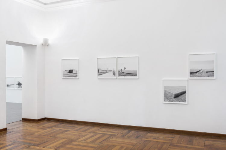 Paola De Pietri, From Winter to Winter, 2022, exhibition view, ph © Beppe Giardino