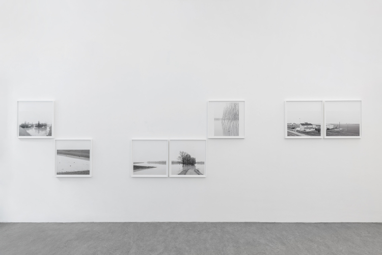 Paola De Pietri, From Winter to Winter, 2022, exhibition view 