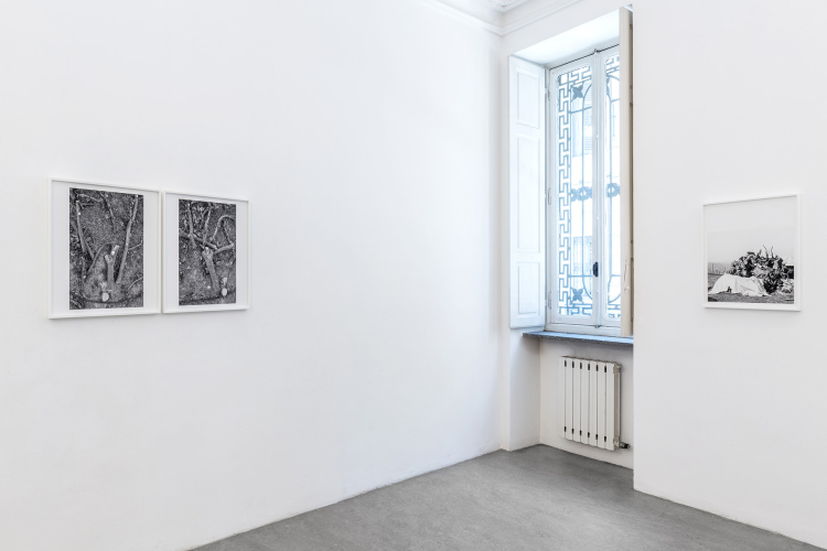 Paola De Pietri, From Winter to Winter, 2022, exhibition view 