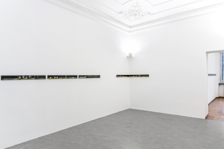 Cornelia Badelita, Continuu, 2022, exhibition view