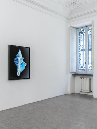 Gioberto Noro, On photography (analogies and figures of dissemblance), 2021, exhibition view