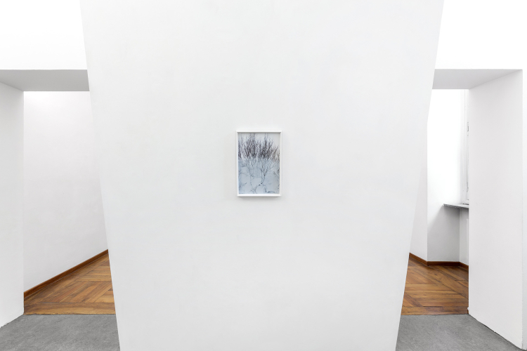 Laura Pugno, The invisibility of winter, 2019, exhibition view