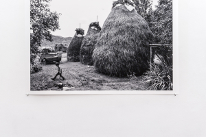 Lala Meredith-Vula, Select Haystacks (1989-ongoing), exhibition view