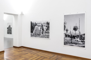 Lala Meredith-Vula, Select Haystacks (1989-ongoing), exhibition view