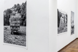 Lala Meredith-Vula, Select Haystacks (1989-ongoing), exhibition view