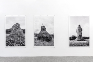 Lala Meredith-Vula, Select Haystacks (1989-ongoing), exhibition view