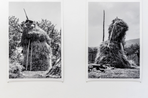 Lala Meredith-Vula, Select Haystacks (1989-ongoing), exhibition view