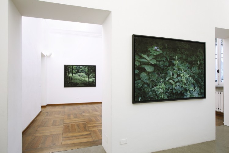 Gioberto Noro, Aperture, 2016-2017, exhibition view