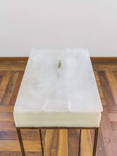 Gregorio Botta, Aprile, 2023, alabaster, natural elements, glass, wax, iron, 105x40x28 cm