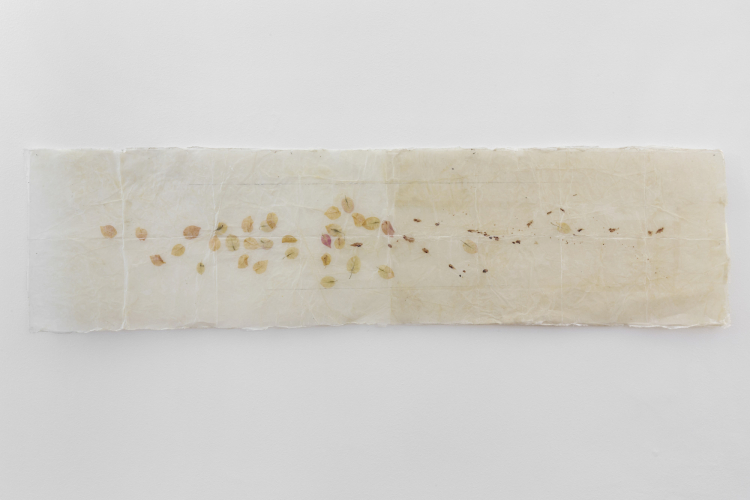 Gregorio Botta, Noli me tangere, 2022, rice paper, wax, natural elements, 175x45x4 cm