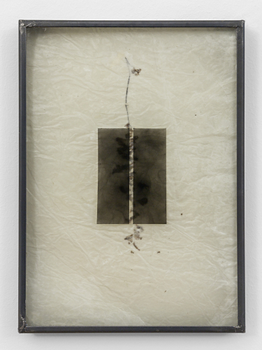 Gregorio Botta, Notturno II, 2023, rice paper, wax, glass, natural elements, lampblack, 42x30x4 cm