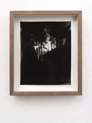 Laura Pugno, Last image 09, 2021, photographic print on Harman direct positive paper, 25x20 cm