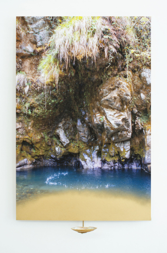 Laura Pugno,The source 02, 2022, photographic printing on aluminium, spray, iron, river mussel, water, 90x60x15 cm