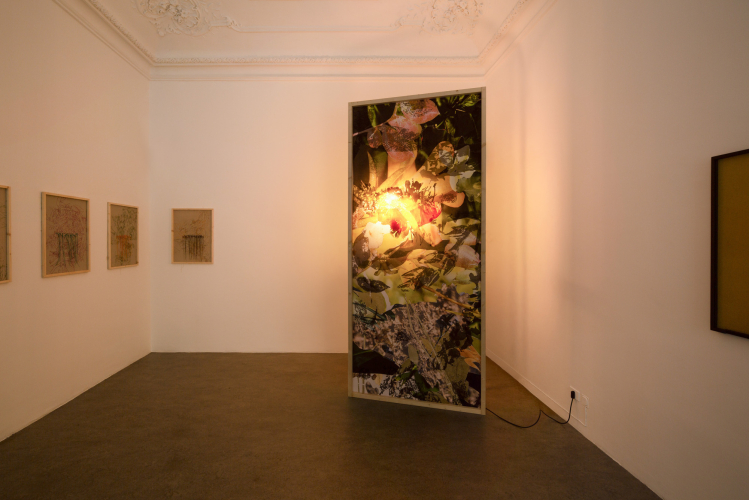 Lucia Veronesi, Reditus naturalis sp., 2025, stampa digitale su tessuto con serigrafia, lampade  riscaldanti e legno, 276x126 cm