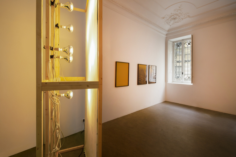Laura Pugno / Lucia Veronesi, Forse domani, 2025, particolare della mostra