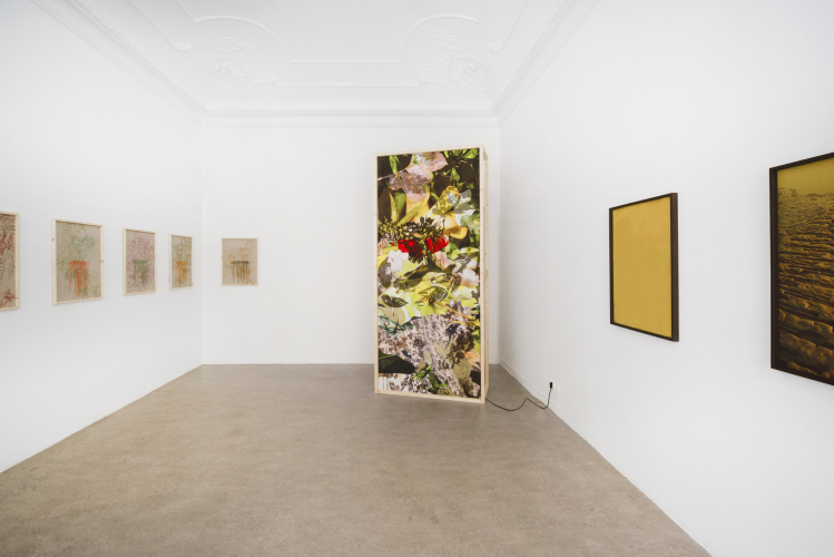 Laura Pugno / Lucia Veronesi, Forse domani, 2025, particolare della mostra