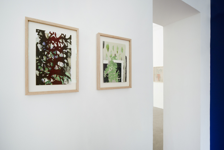 Lucia Veronesi, EX (Hieracium tolstoii) / EW (Psychotria ilocana),  2025, collage e serigrafia su carta, 27,9 x 21 cm cad.