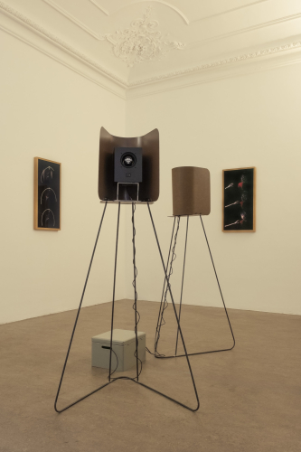 Eva Frapiccini, Soglie del controllo, 2025, particolare della mostra, ph Nadia Pugliese