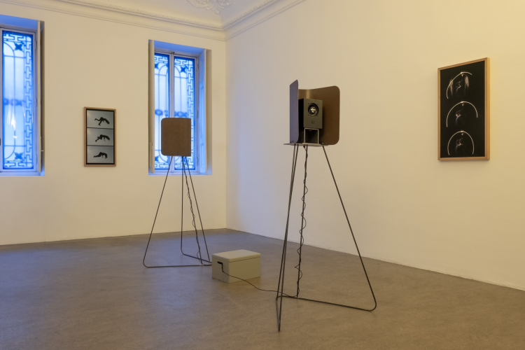 Eva Frapiccini, Soglie del controllo, 2025, particolare della mostra, ph Nadia Pugliese
