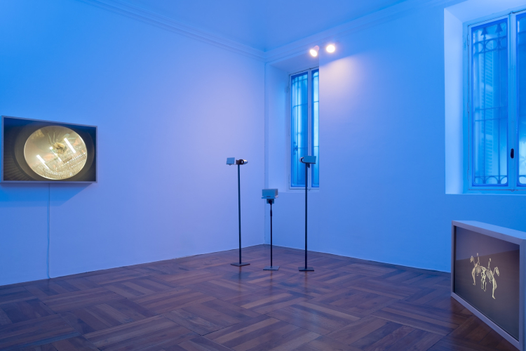 Rana Hamadeh, Soglie del controllo,  2025, particolare della mostra, ph Nadia Pugliese