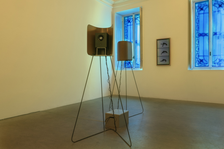 Eva Frapiccini, Thresholds of control, 2025, exhibition view, ph Nadia Pugliese