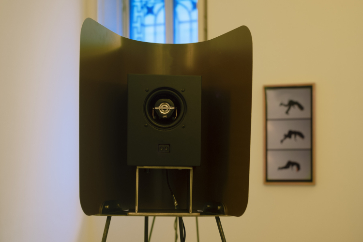 Eva Frapiccini, Thresholds of control, 2025, exhibition view, ph Nadia Pugliese