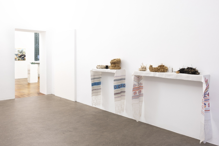 Victoria Stoian, Cel mai iubit dintre pămȃnteni, 2026, exhibition view © ph Nadia Pugliese