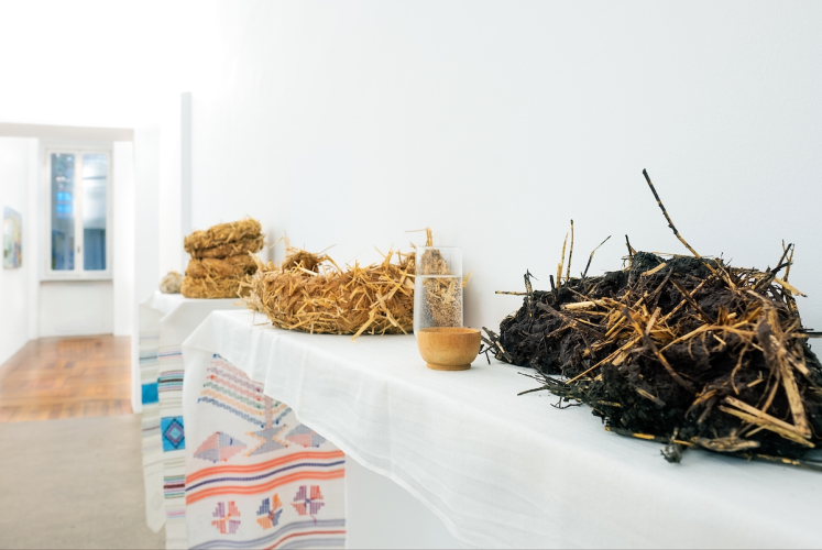 Victoria Stoian, Cel mai iubit dintre pămȃnteni, 2026, exhibition view © ph Nadia Pugliese