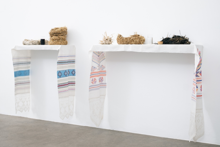 Victoria Stoian, Cel mai iubit dintre pămȃnteni, 2026, particolare della mostra © ph Nadia Pugliese