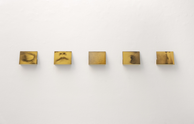 Giulia Iacolutti, The Golden Liquid, 2026, particolare della mostra © ph Lorenzo Gastaldi