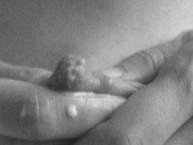 Giulia Iacolutti, Last Milk, 2023, digitized Super 8 film, 2’ 18”
