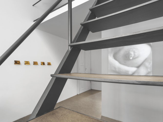 Giulia Iacolutti, The Golden Liquid, 2026, exhibition view © ph Lorenzo Gastaldi