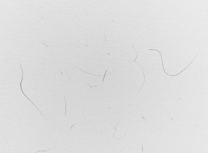 Roberto Casti, Aria (composizione VII), 2026, grafite e vernice su tela, 198x144 cm, ph Lorenzo Gastaldi (dettaglio)